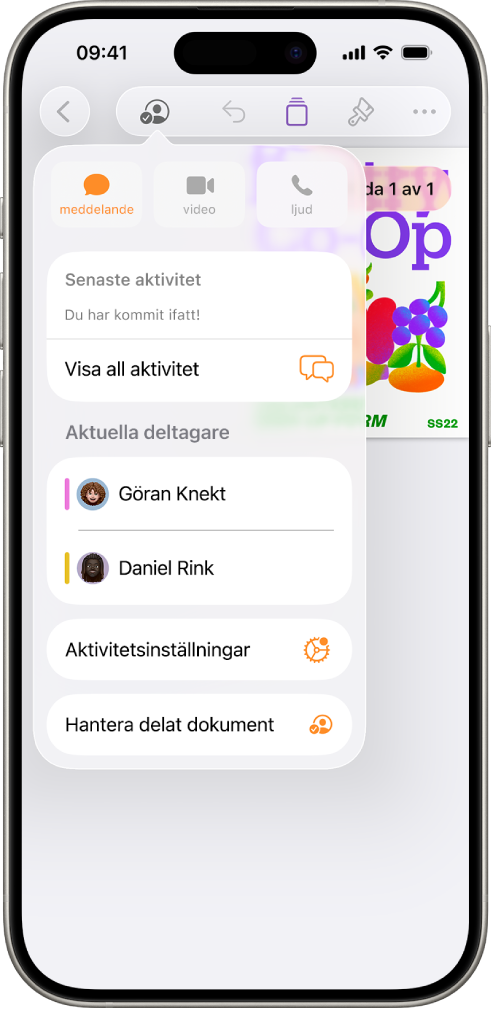 Samarbetsmenyn med namnen på de personer som samarbetar på dokumentet.