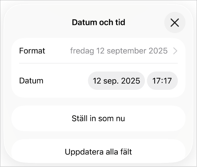 Reglagen Datum och tid med popupmenyn Format för datum och knapparna Ställ in som nu och Uppdatera alla fält.