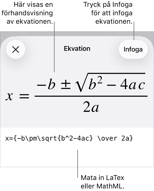 Dialogrutan Ekvation visar en ekvation som skrivits med MathML-kommandon och en förhandsvisning av formeln ovanför den.