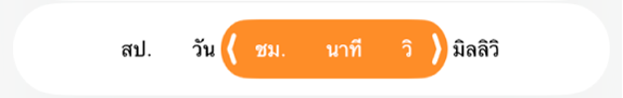 ตัวเลือกช่วงระยะเวลา