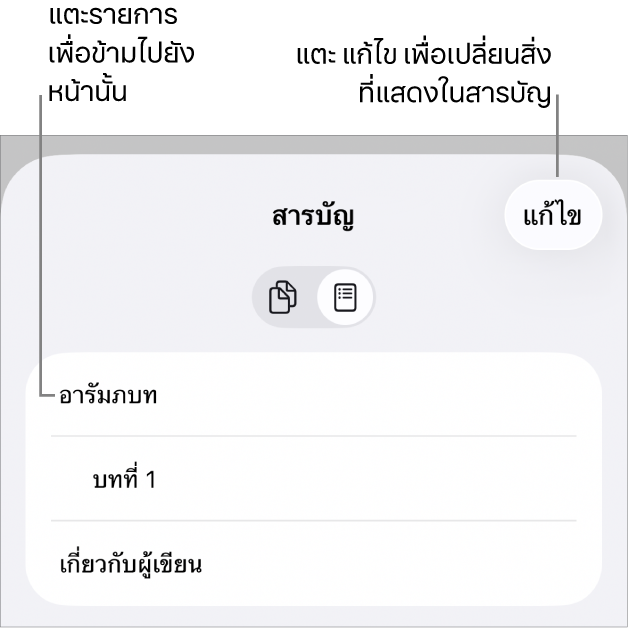 มุมมองสารบัญที่มีหัวเรื่องในรูปแบบรายการ ปุ่มแก้ไขอยู่ที่มุมขวาบนและที่ด้านล่างคือปุ่มรูปย่อของหน้าและสารบัญ