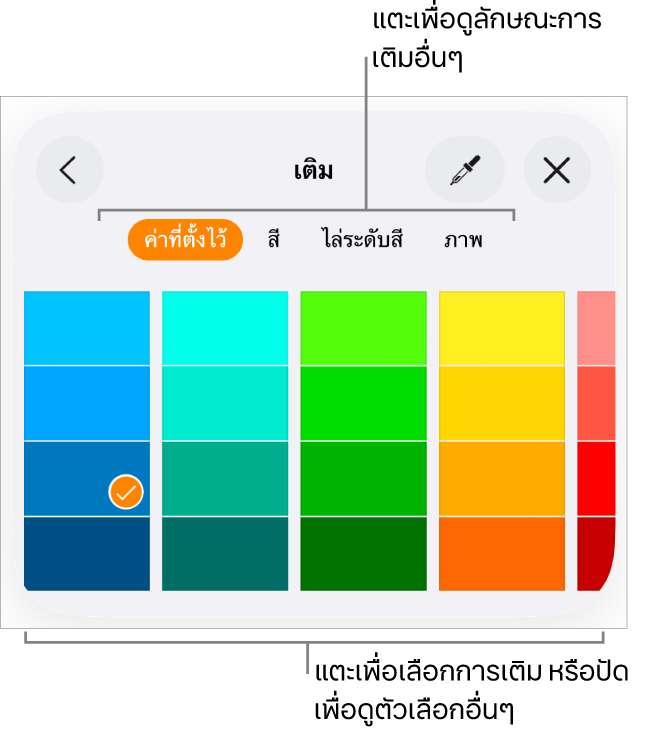 ตัวเลือกการเติมในแถบลักษณะของปุ่มรูปแบบ