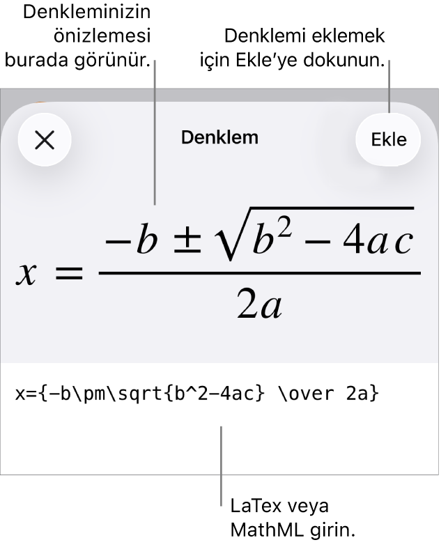 MathML komutları kullanılarak yazılmış bir denklemi ve onun üstünde formülün önizlemesini gösteren Denklem sorgu kutusu.