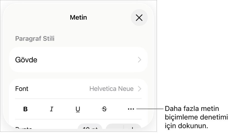 Biçim denetimlerinin Metin sekmesi, Daha Fazla Metin Seçeneği düğmesinin belirtme çizgisi ile birlikte.