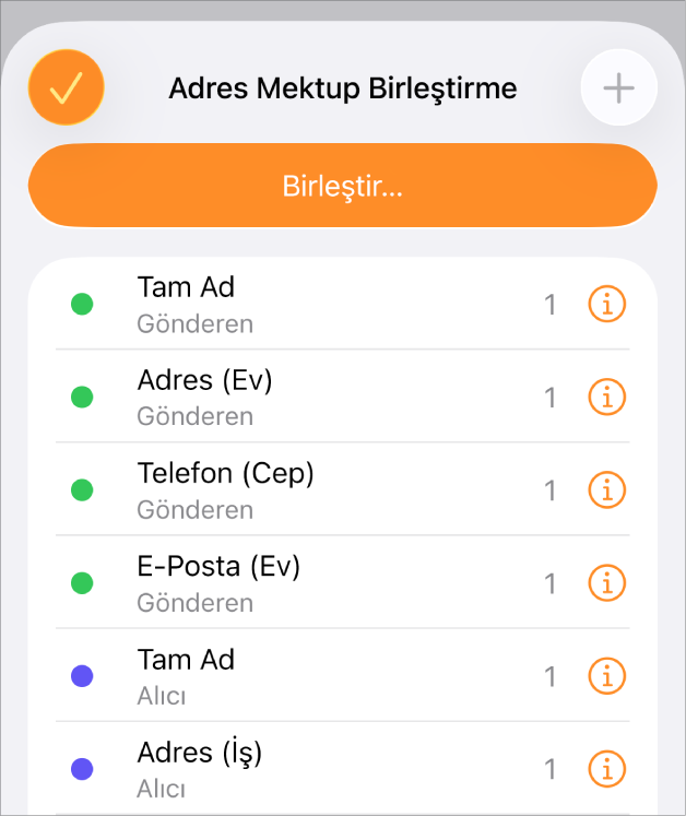 Adres Mektup Birleştirme menüsünde listelenen birleştirme alanı örnekleri.