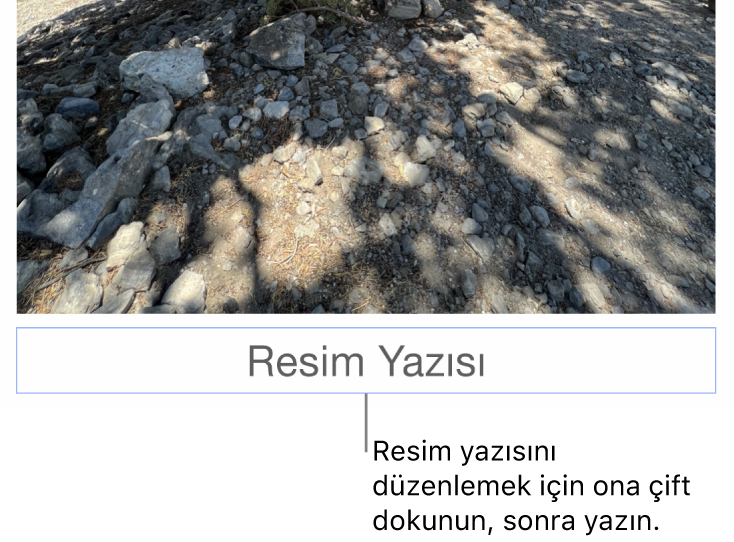 Yer tutucu resim yazısı (“Resim Yazısı”) bir fotoğrafın altında görünür, resim yazısı alanının çevresindeki mavi kontur resim yazısının seçildiğini gösterir.