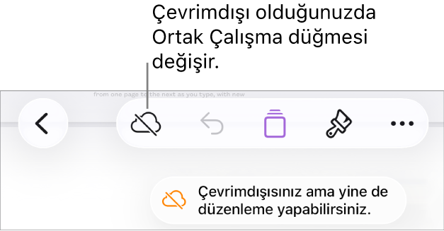 Ekranın en üstündeki düğmeler; Ortak Çalışma düğmesi, üzerinde çapraz bir çizgi olan bir buluta değişmiş. Ekrandaki bir uyarı “Çevrimdışısınız ama yine de düzenleyebilirsiniz” der.