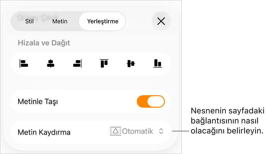 Metinle Taşı ve Metin Kaydırma’yı içeren Yerleştir denetimleri.