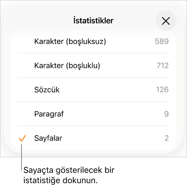 Boşluksuz ve boşluklu karakter sayısını, sözcük sayısını, paragraf sayısını ve sayfa sayısını gösterme seçeneklerini gösteren İstatistikler menüsü.