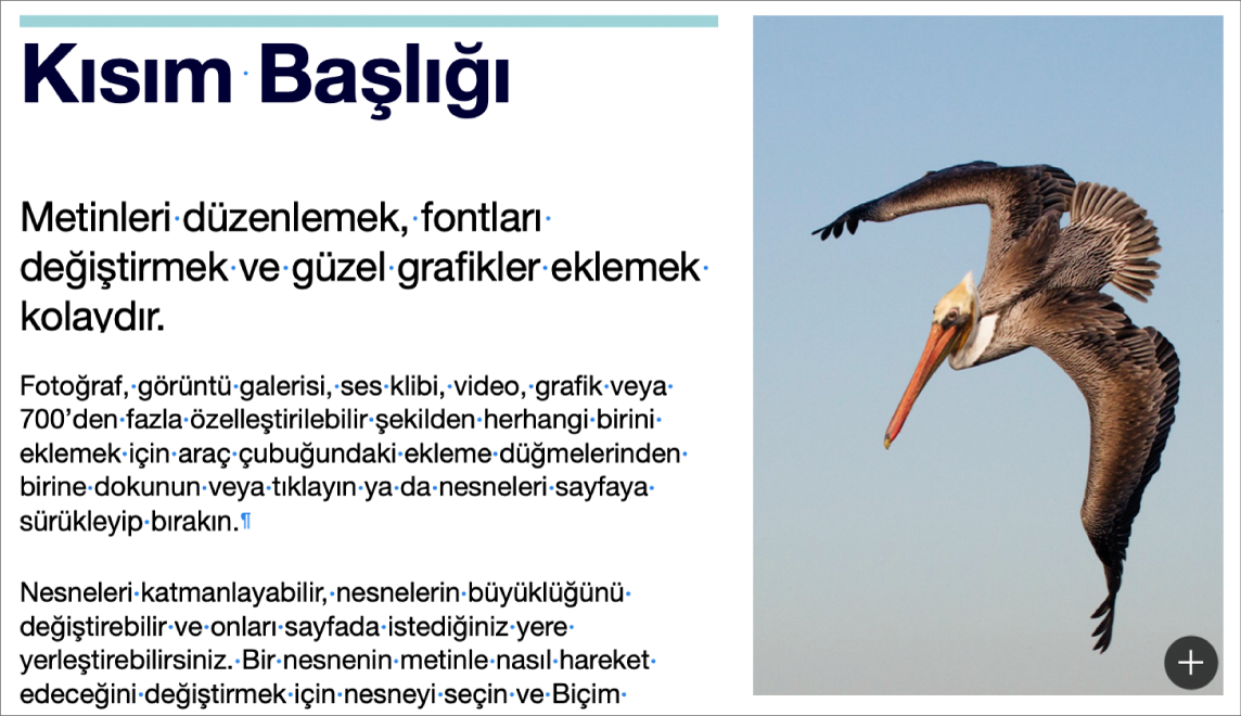 Paragraf sonu ve bölüm sonu sembollerini gösteren metin.