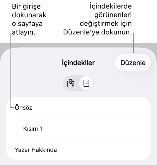 Listedeki konu başlıklarıyla birlikte içindekiler görüntüsü. Düzenle düğmesi sağ üst köşededir, en altta da Sayfa Küçük Resmi ve İçindekiler düğmeleri bulunur.