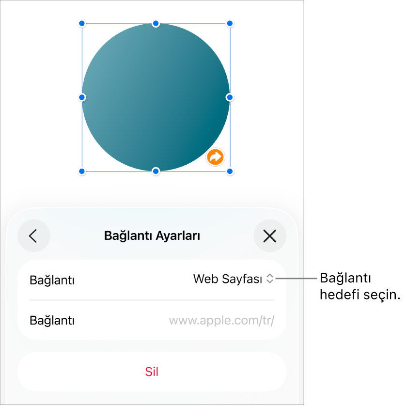 Bağlantı Ayarları denetimlerinde Web Sayfası seçili, en altta ise Sil düğmesi bulunuyor.