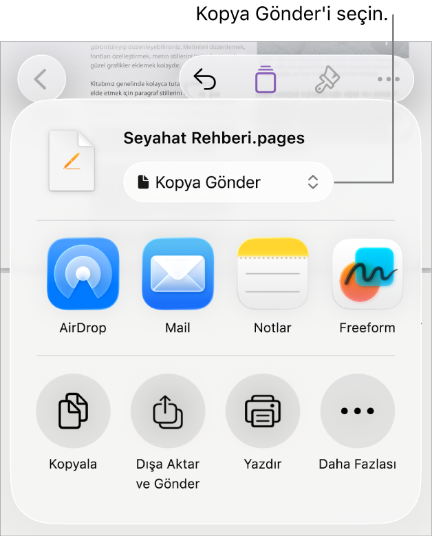 Paylaş menüsü, en üstte Kopya Gönder seçili.