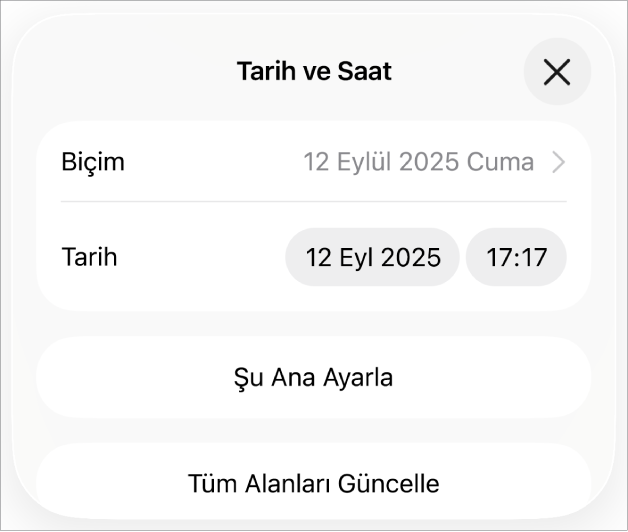Tarih Biçimi açılır menüsünü, Şu Ana Ayarla düğmesini ve Tüm Alanları Güncelle düğmesini gösteren Tarih ve Saat denetimleri.