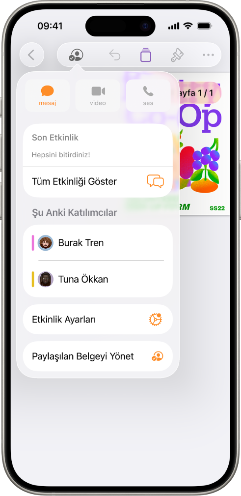 Belgede ortak çalışan kişilerin adlarını gösteren ortak çalışma menüsü.