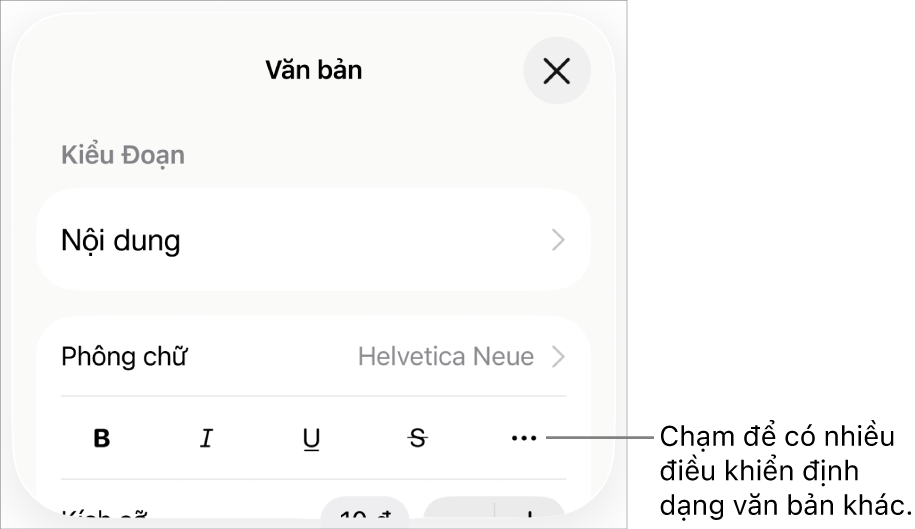Tab Văn bản của điều khiển Định dạng, với lời nhắc đến nút Tùy chọn văn bản khác.