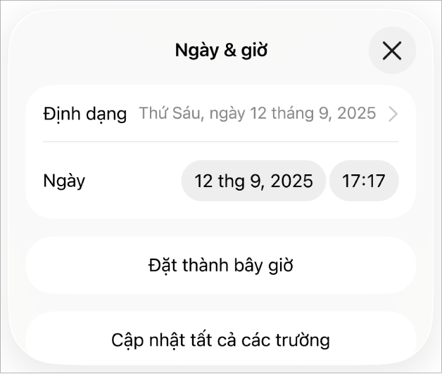 Điều khiển Ngày & Giờ hiển thị menu bật lên cho định dạng ngày, nút Đặt thành bây giờ và nút Cập nhật tất cả các trường.