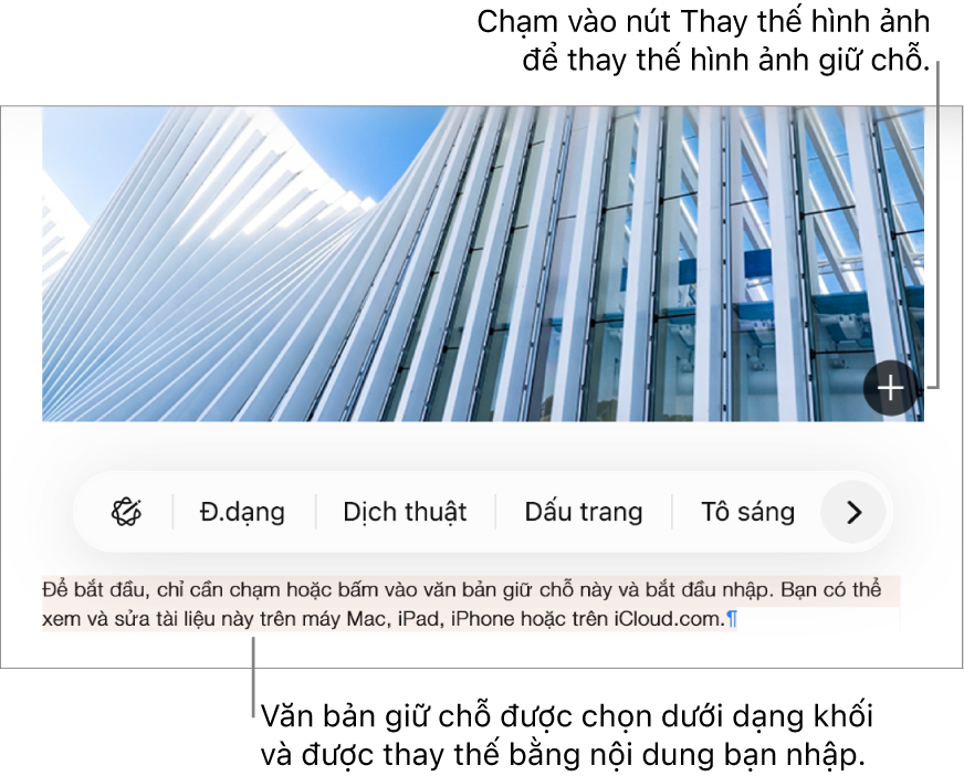 Văn bản và hình ảnh giữ chỗ.
