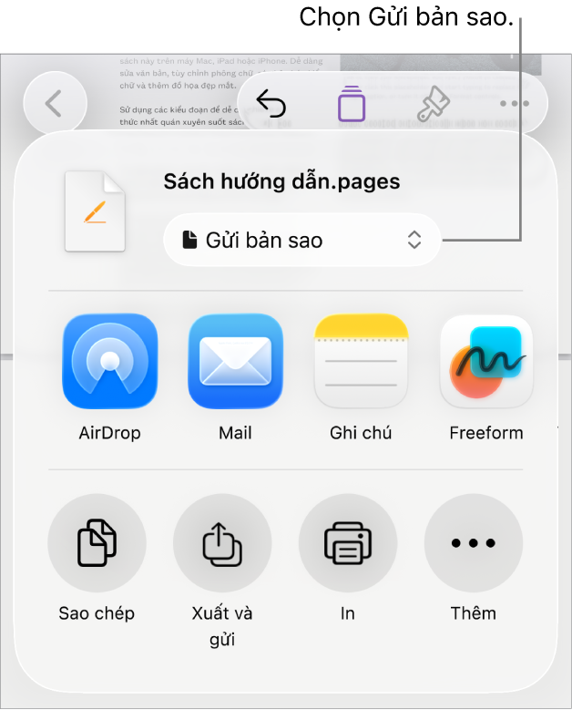 Menu Chia sẻ với Gửi bản sao được chọn ở trên cùng.