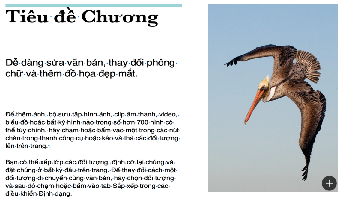 Văn bản hiển thị các biểu tượng cho dấu ngắt đoạn và dấu ngắt phần.