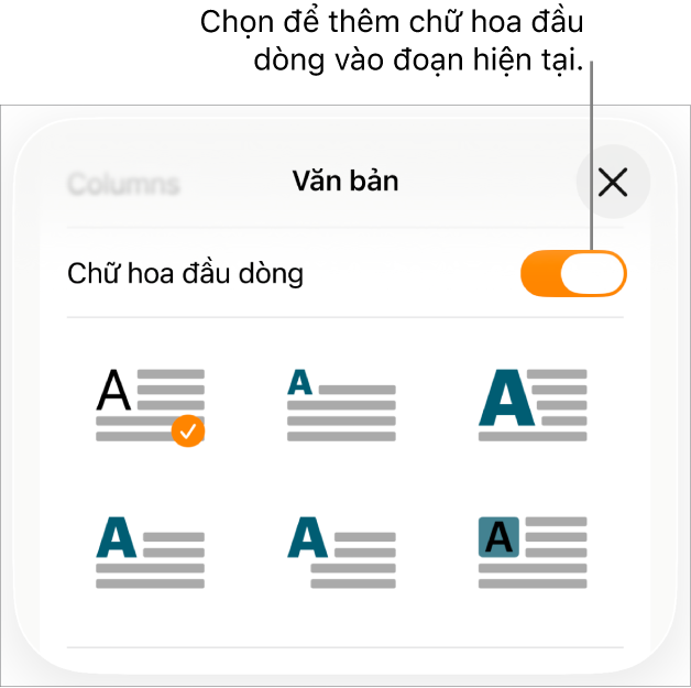 Các điều khiển Chữ hoa đầu dòng nằm trong menu Văn bản.