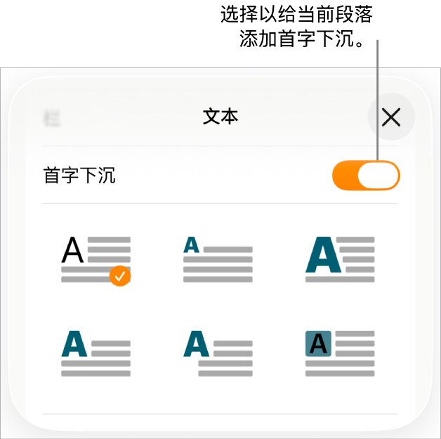 位于“文本”菜单中的“首字下沉”控制。