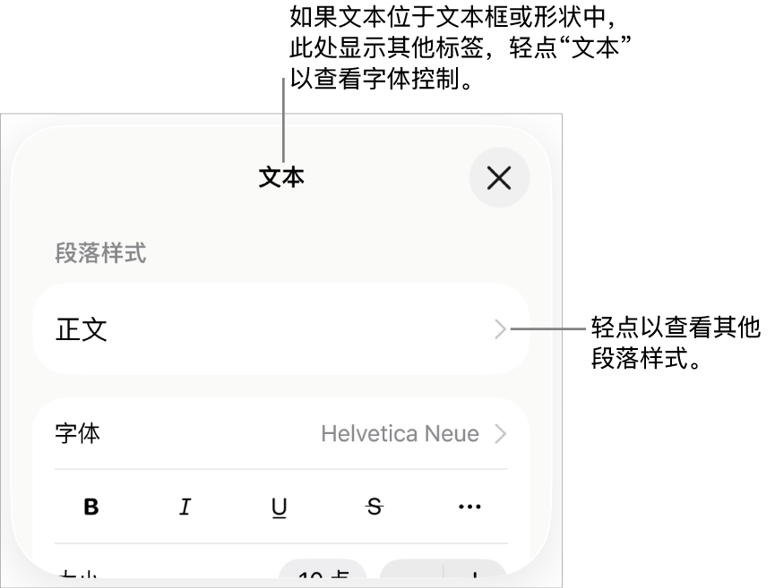 显示文本控制的“格式”菜单,用于设定段落和字符样式、字体、大小和颜色。