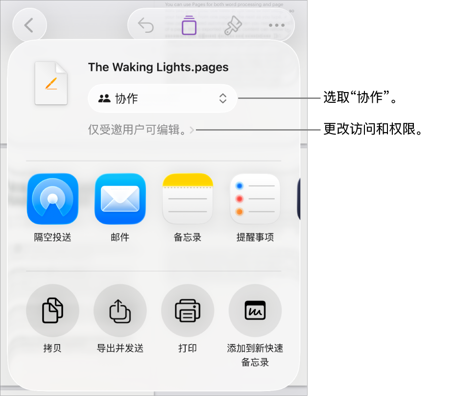 “共享”菜单,顶部已选中“协作”,下方是访问和权限设置。