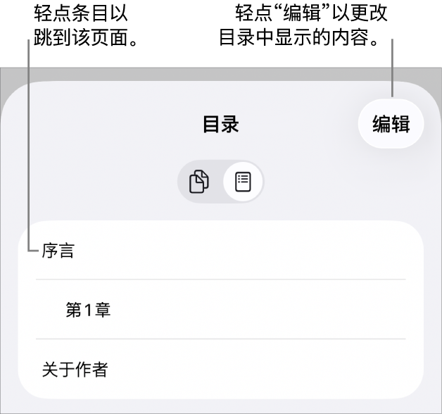 目录视图,列出了小标题。右上角是“编辑”按钮,底部是“页面缩略图”和“目录”按钮。