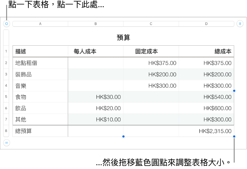 選取的表格，帶有調整大小的藍色圓點。