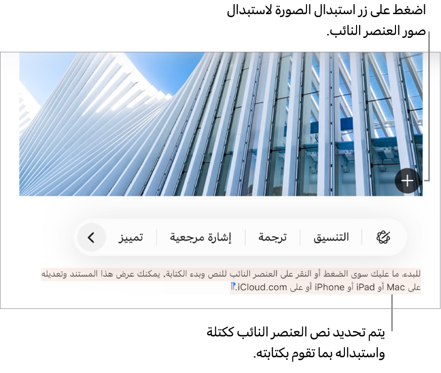 نصوص وصور العناصر النائبة.