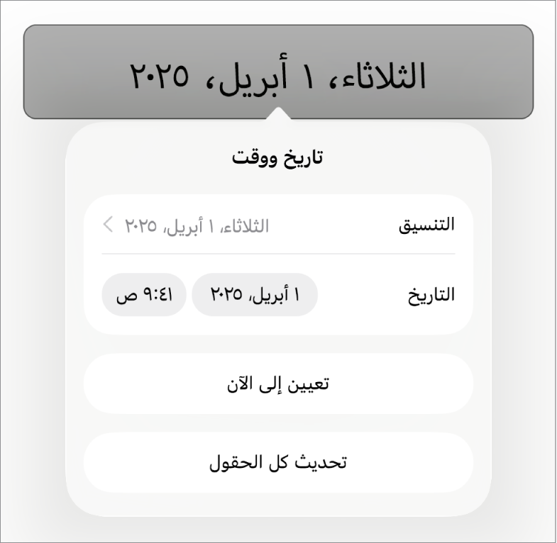 عناصر تحكم التاريخ والوقت تعرض قائمة منبثقة لتنسيق التاريخ وزري تعيين على الآن وتحديث كل الحقول.