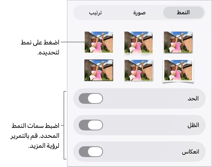علامة تبويب النمط من قائمة التنسيق مع أنماط الكائنات في الجزء العلوي وعناصر التحكم أدناها لتغيير الحدود والظل والانعكاس والتعتيم.