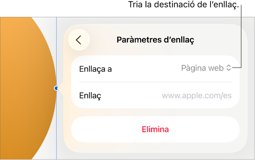 Controls “Paràmetres d’enllaç” amb l’opció “Pàgina web” seleccionada i el botó “Elimina” situat a la part inferior.