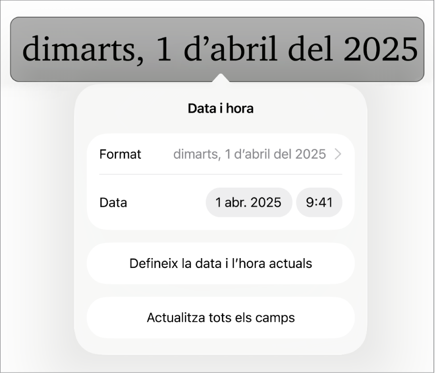 Els controls “Data i hora” amb un menú desplegable per al format de la data i els botons “Data i hora”.