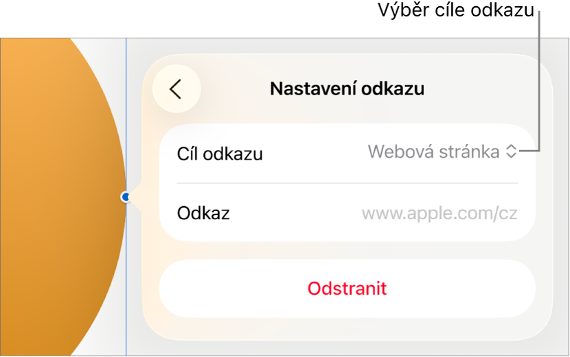 Ovládací prvky Nastavení odkazu s vybranou volbou Webová stránka a tlačítkem Odstranit v dolní části