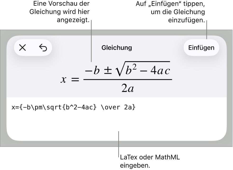 Im Dialogfenster „Gleichung“ wird eine Gleichung angezeigt, die mit MathML-Befehlen geschrieben wurde, darüber wird eine Vorschau der Formel angezeigt.