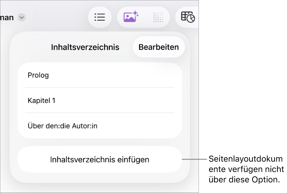 Die Darstellung „Inhaltsverzeichnis“ mit der Taste „Bearbeiten“ in der oberen rechten Ecke, den Einträgen des Inhaltsverzeichnisses und der Taste „Inhaltsverzeichnis einfügen“ ganz unten.