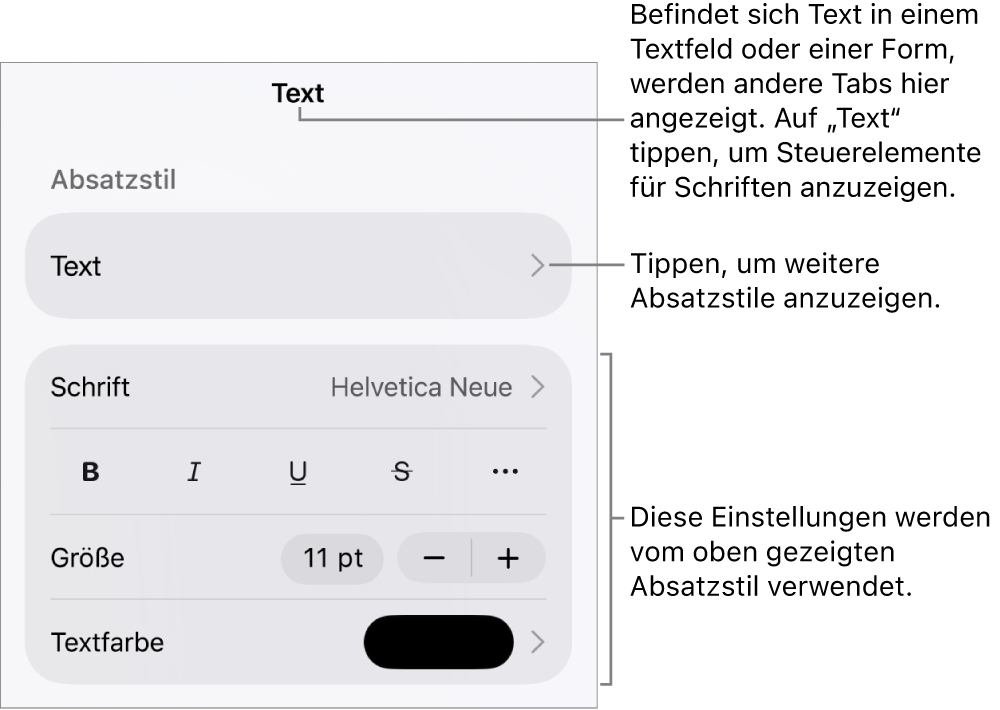 Das Menü „Format“ mit Textsteuerelementen zum Festlegen von Absatz- und Zeichenstilen, Schrift, Größe und Farbe