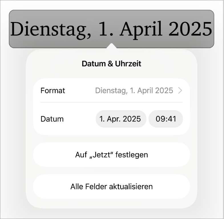 Die Steuerelemente „Datum & Uhrzeit“ mit Einblendmenü für das Datumsformat und Tasten „Auf ,Jetzt‘ festlegen“ und „Alle Felder aktualisieren“.