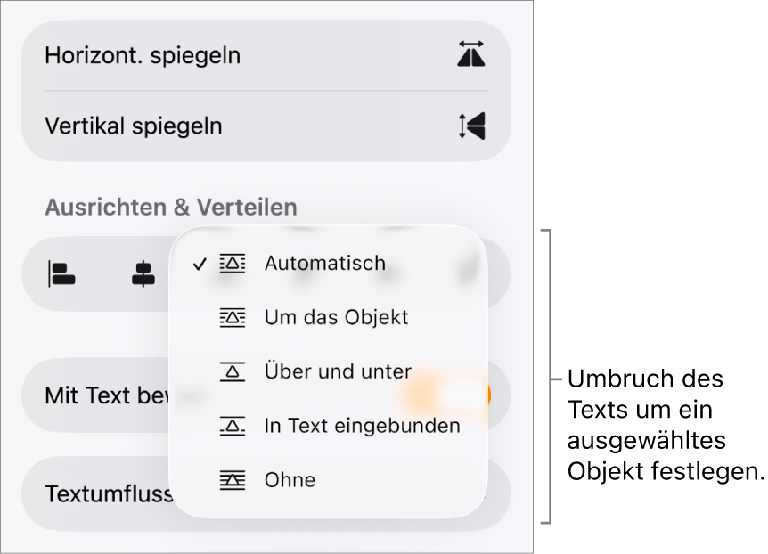 In den Formatsteuerungen ist der Tab „Anordnen“ ausgewählt. Darunter befinden sich die Steuerelemente für Textumbruch mit „Nach hinten/vorn bewegen“, „Mit Text bewegen“ und „Textumbruch“.