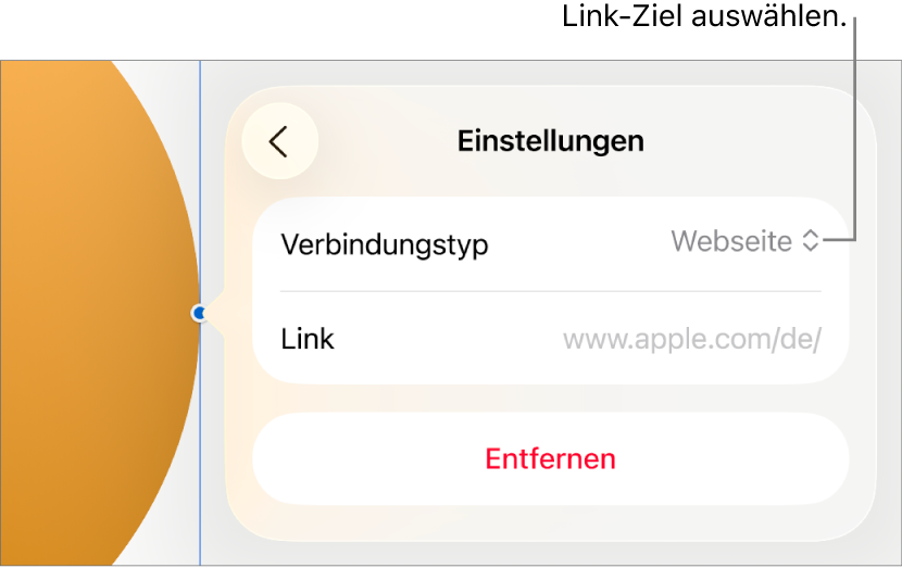 Die Steuerelemente der Linkeinstellungen mit ausgewählter Webseite und der Taste „Entfernen“ unten.