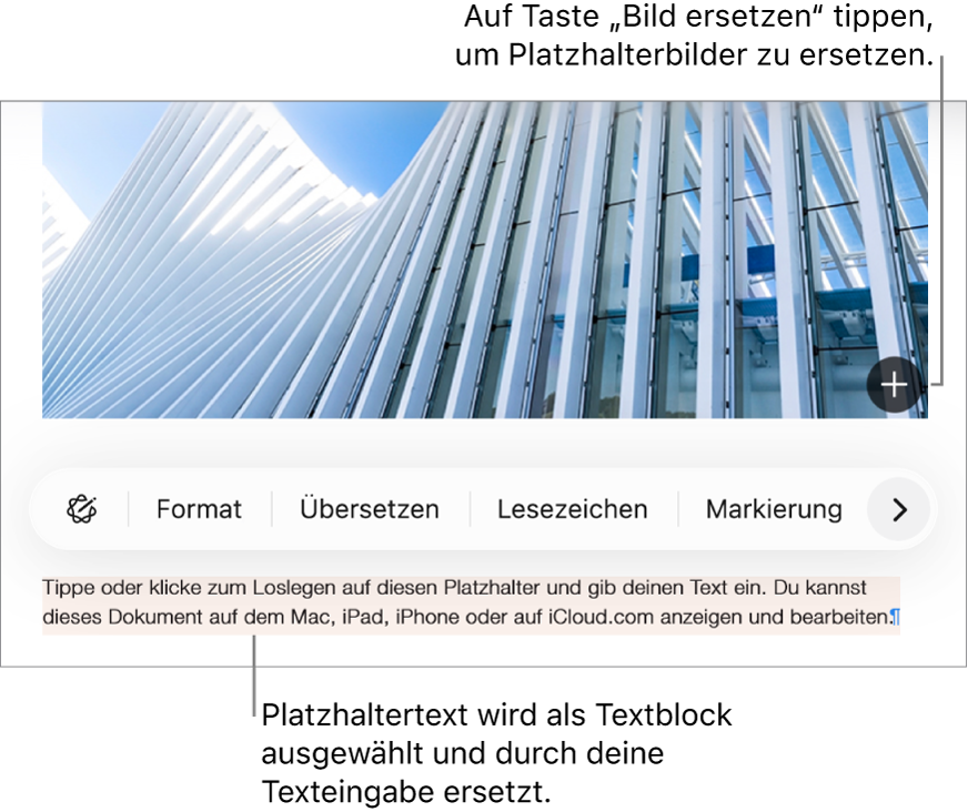 Platzhaltertext und Platzhalterbilder