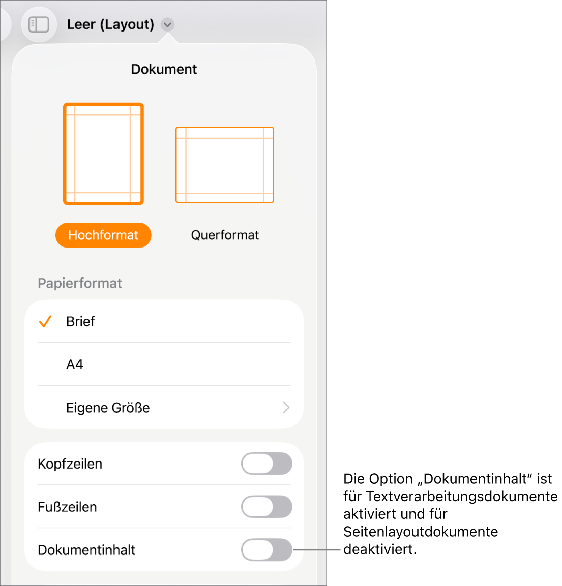 Die Steuerelemente für das Dokumentformat mit aktivierter Option „Dokumentinhalt“ unten auf dem Bildschirm.