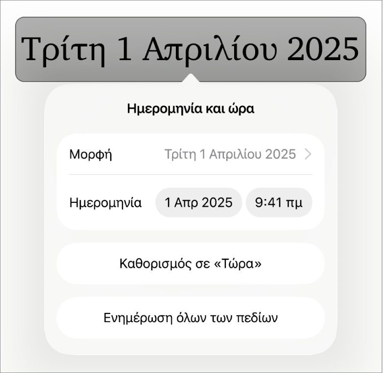 Τα στοιχεία ελέγχου «Ημερομηνία και ώρα» όπου φαίνονται ένα αναδυόμενο μενού για τη μορφή ημερομηνίας, και τα κουμπιά «Καθορισμός σε Τώρα» και «Ενημέρωση όλων των πεδίων».