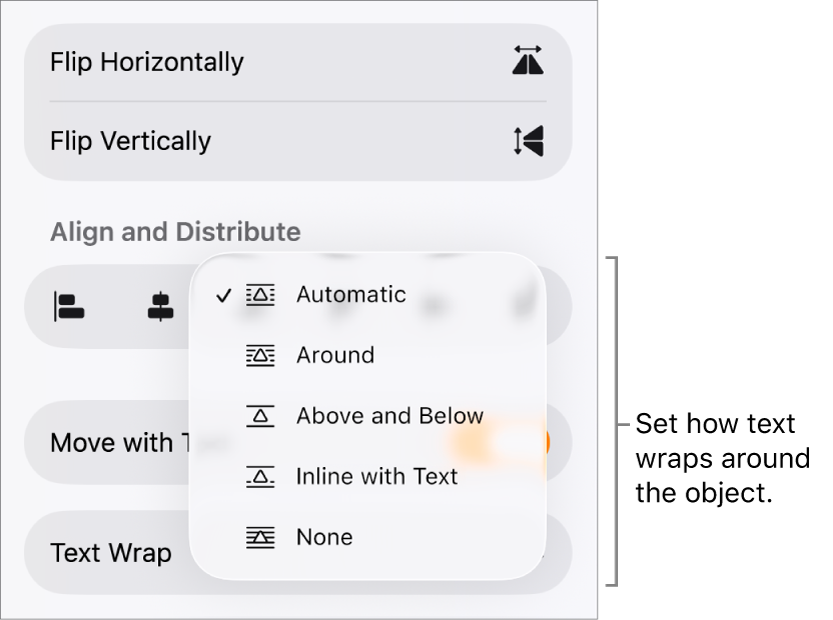 The Format controls with the Arrange tab selected. Below it are Text Wrap controls with Move to Back/Front, Move with Text and Text Wrap.