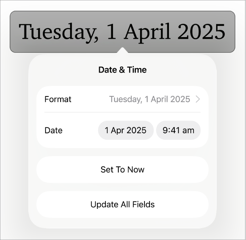 The Date & Time controls showing a pop-up menu for date Format, and Set to Now and Update All Fields buttons.