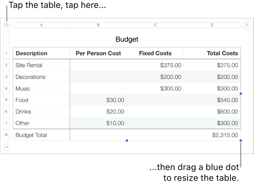 A selected table with blue dots for resizing.