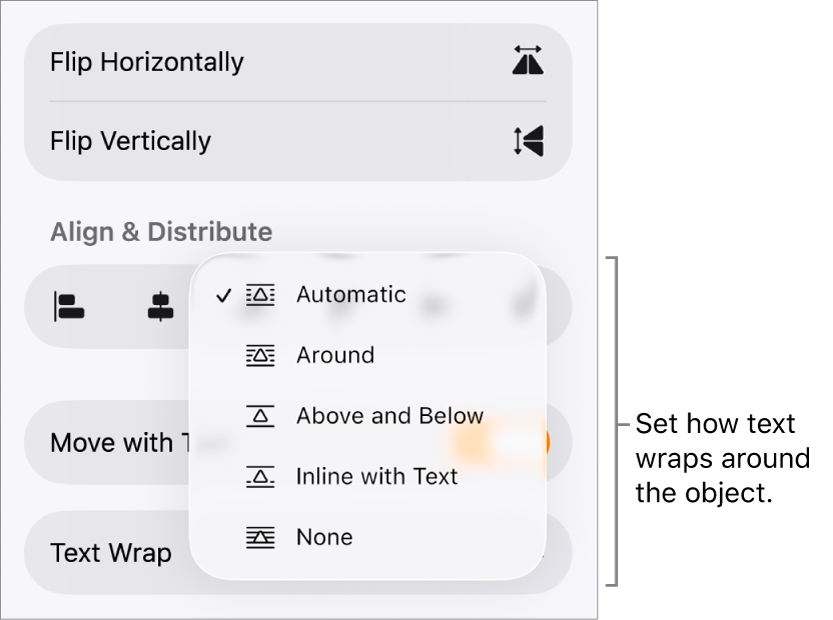 The Format controls with the Arrange tab selected. Below it are Text Wrap controls with Move to Back/Front, Move with Text and Text Wrap.