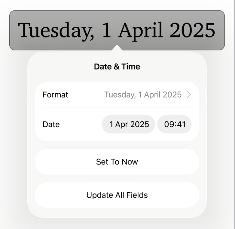 The Date & Time controls showing a pop-up menu for date Format, and Set to Now and Update All Fields buttons.